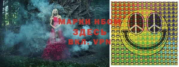 дмт Нея