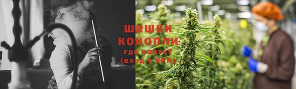 дмт Нея
