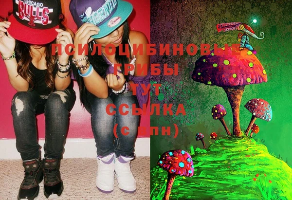 дмт Нея