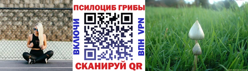 hydra ONION  Саратов  Псилоцибиновые грибы Psilocybe 
